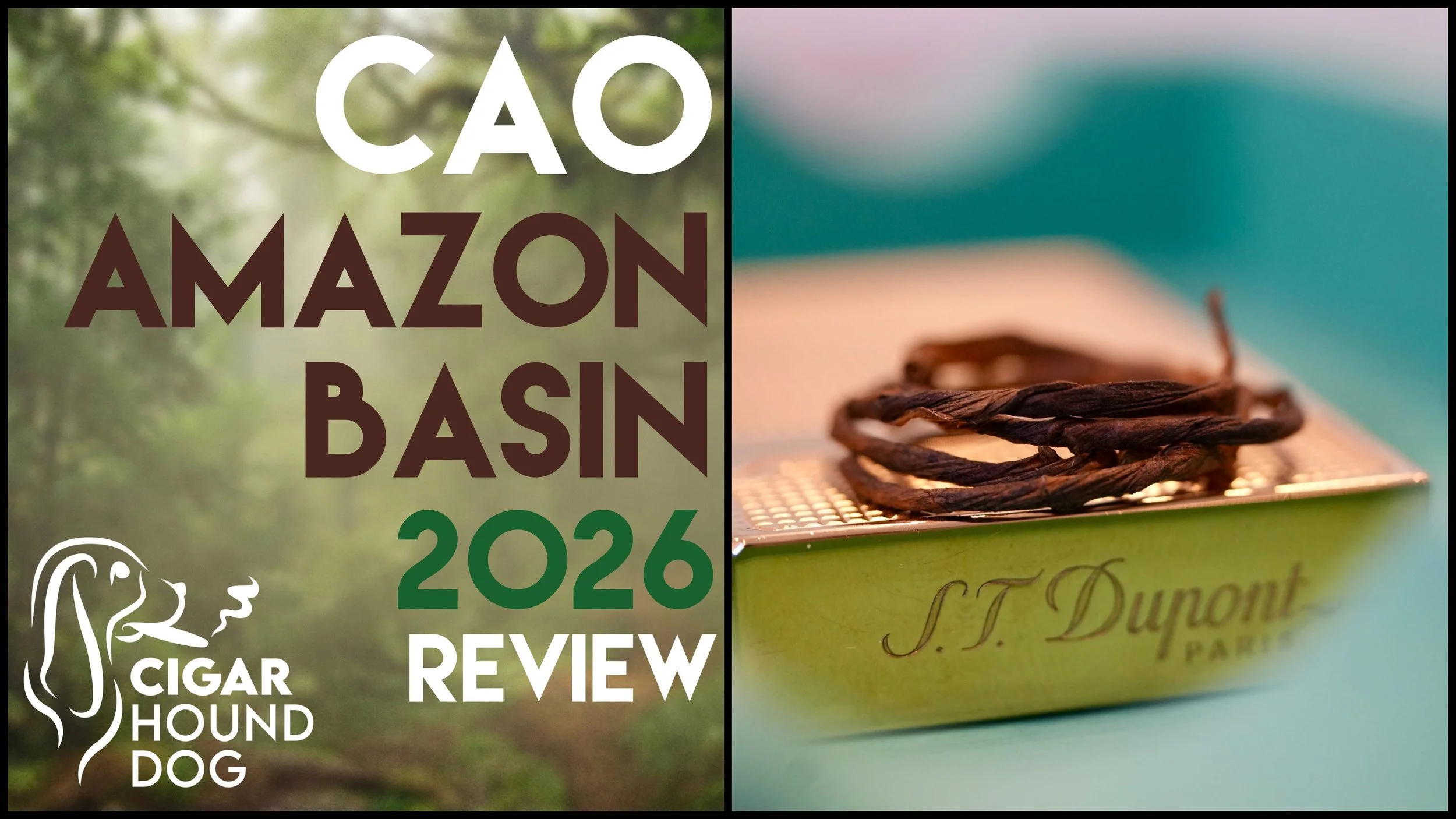 CAO Amazon Basin 2026 Review