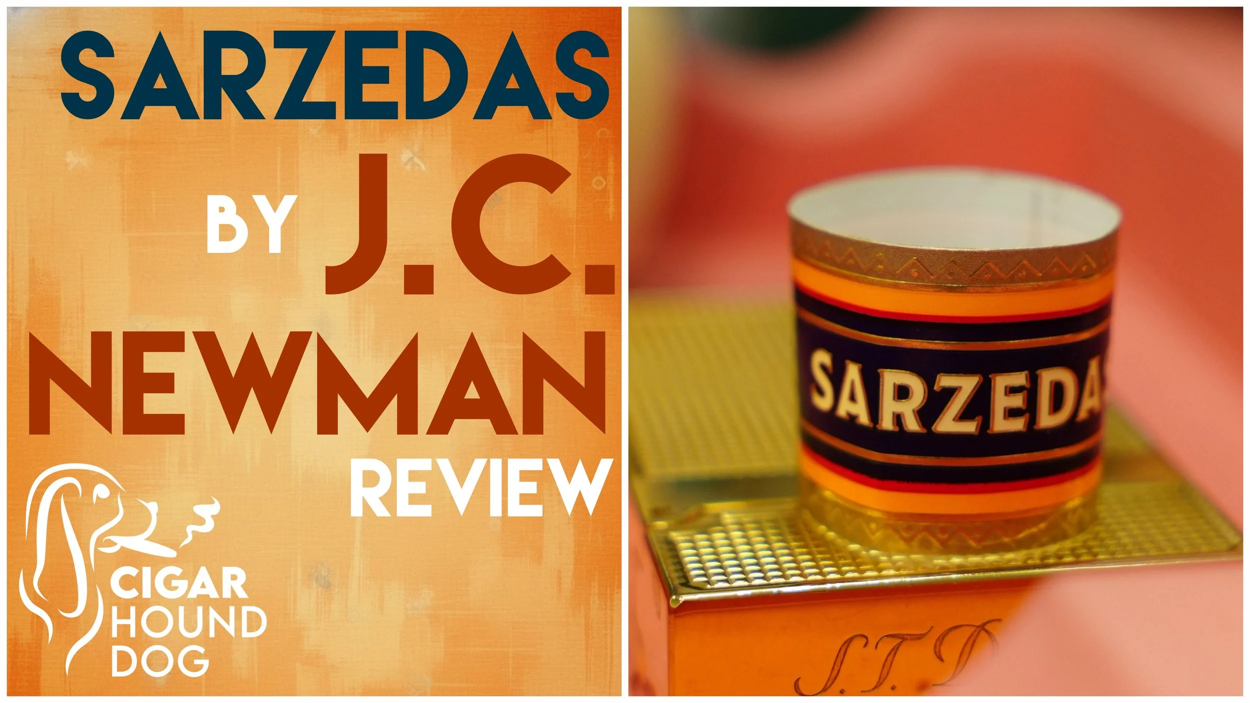Sarzedas by J.C. Newman  Review