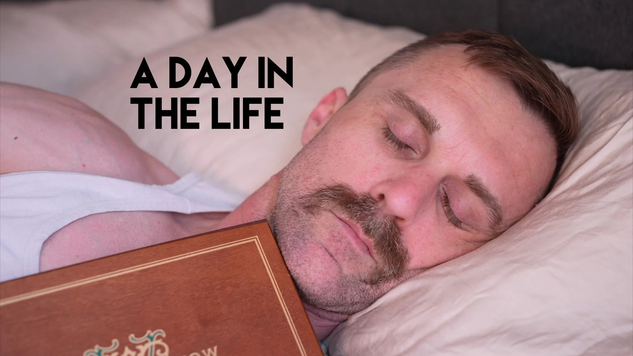 Cigar Hound Dog - A Day In The Life