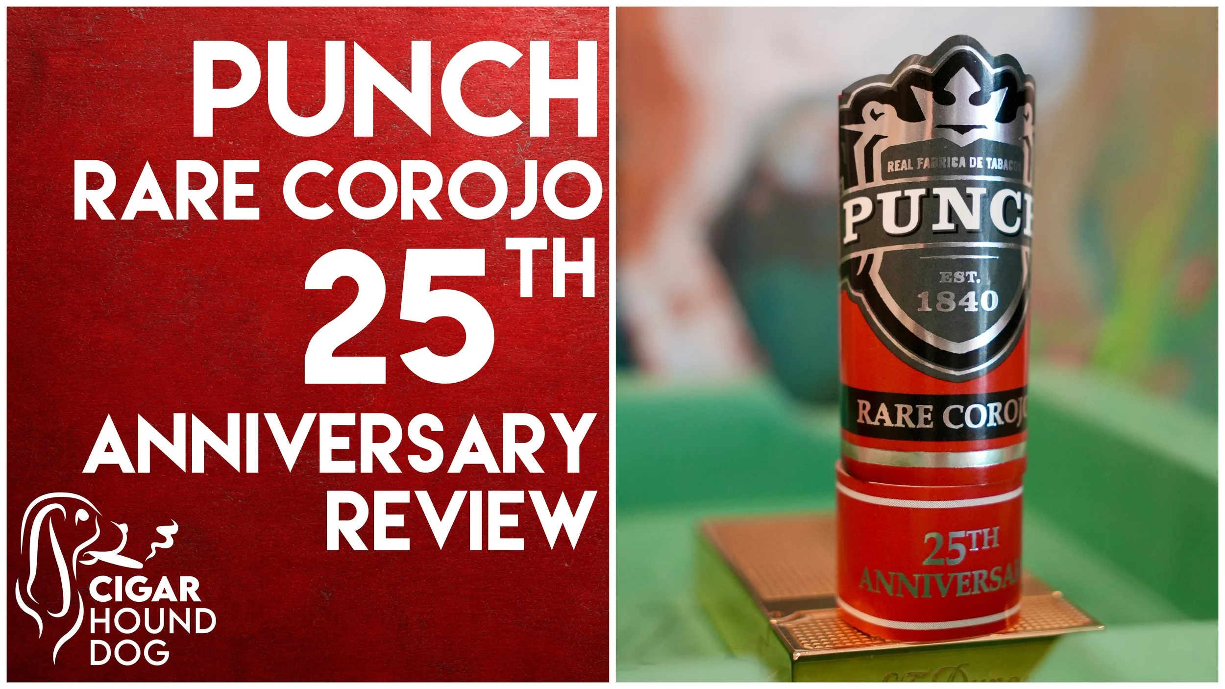 Punch Rare Corojo 25th Anniversary Review