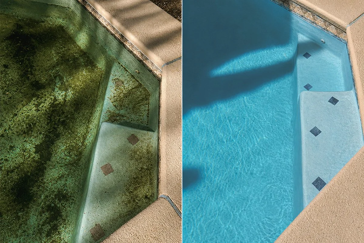 What a Florida pool looks like after 30 days without professional service
