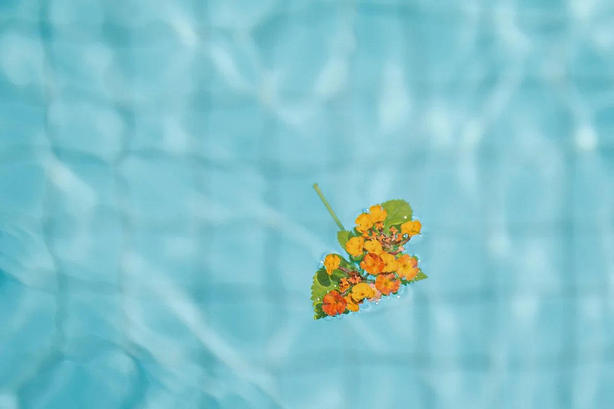 Jacksonville pool owners: what spring pollen is doing to your water and deck