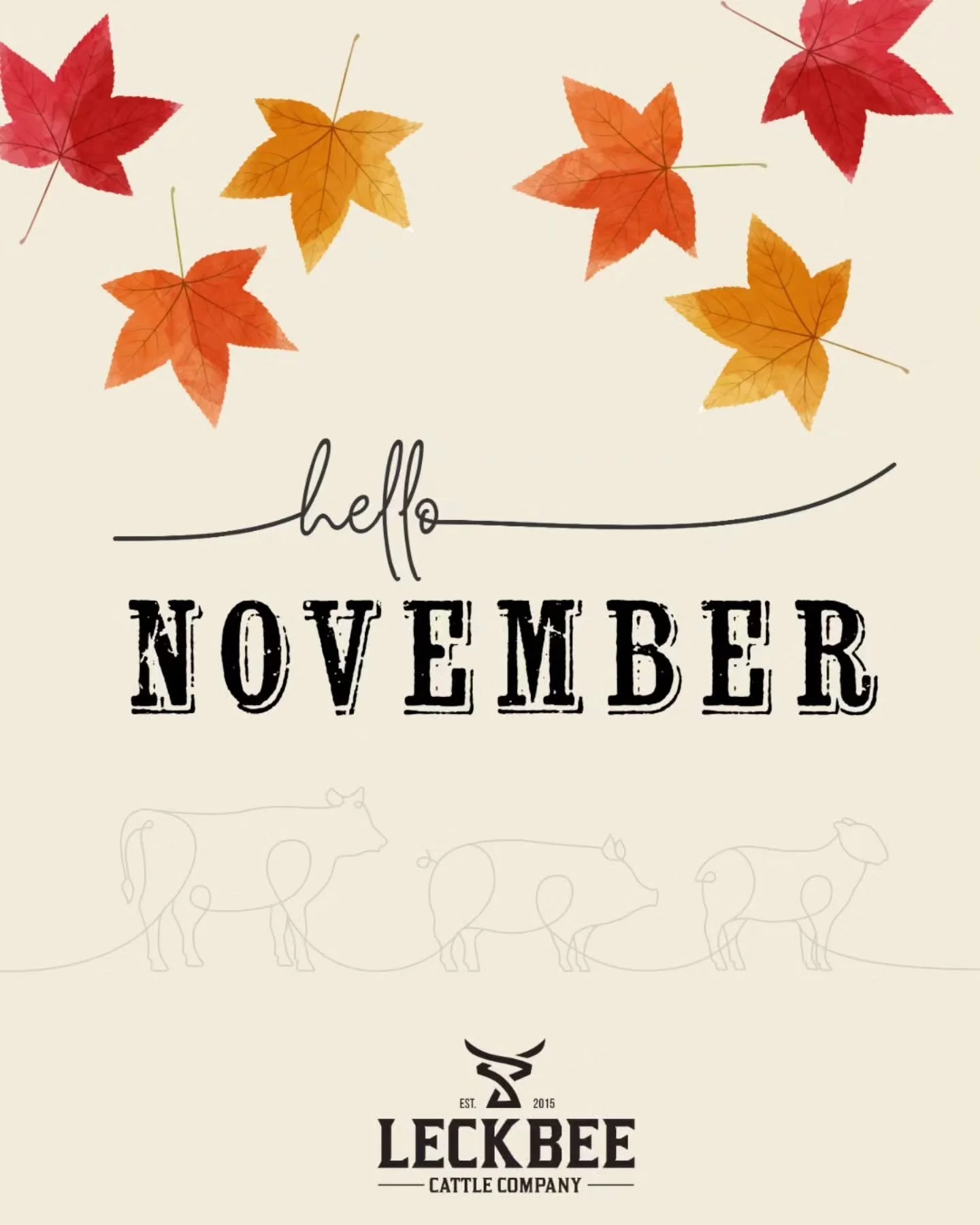 November&rsquo;s here and I&rsquo;m already spotting Christmas lights 👀
We&rsquo;re not done with cozy fall days just yet 🍂

Which are you &mdash; #TeamFallVibes 🍁 or #TeamDeckTheHalls? 🎄

Tell us in the comments! 👇