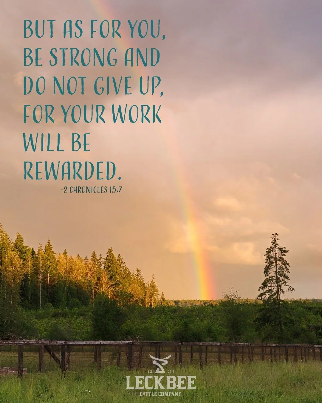 Happy Sunday, friends 🖤