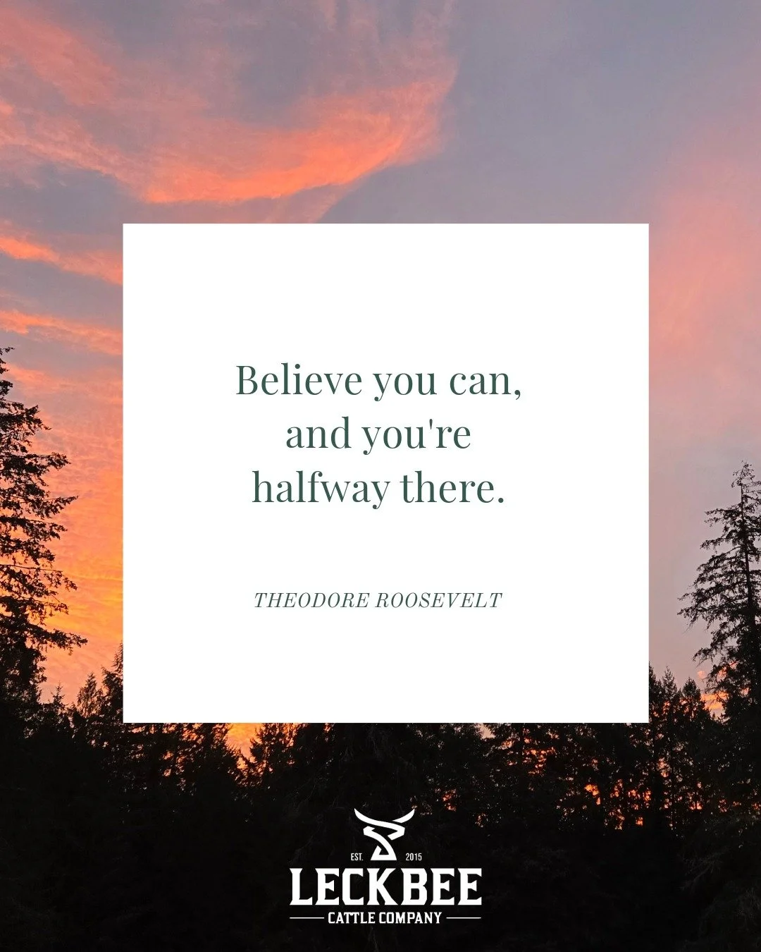 Happy Sunday, friends! 🖤