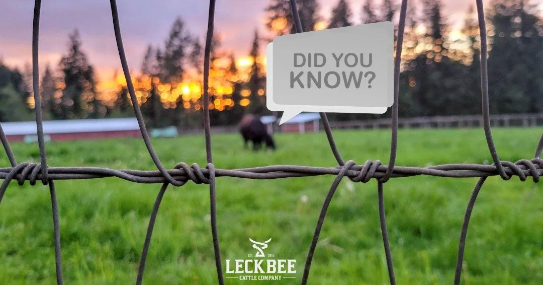 Did you know we have a FAQ page? 🎉
It&rsquo;s full of answers for our most common questions! 
Don&rsquo;t see your question? Drop it in the comments, DM us, or click the Contact Us link at the bottom &mdash; we want to make sure it&rsquo;s covered!
