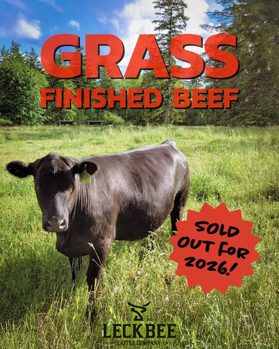 Grass-Finished beef for 2026 is officially sold out&mdash;and we&rsquo;re feeling incredibly grateful 🐮🖤 Your support means everything to our family!

If you missed out, we still have a limited number of grain-finished beef and pork shares availabl
