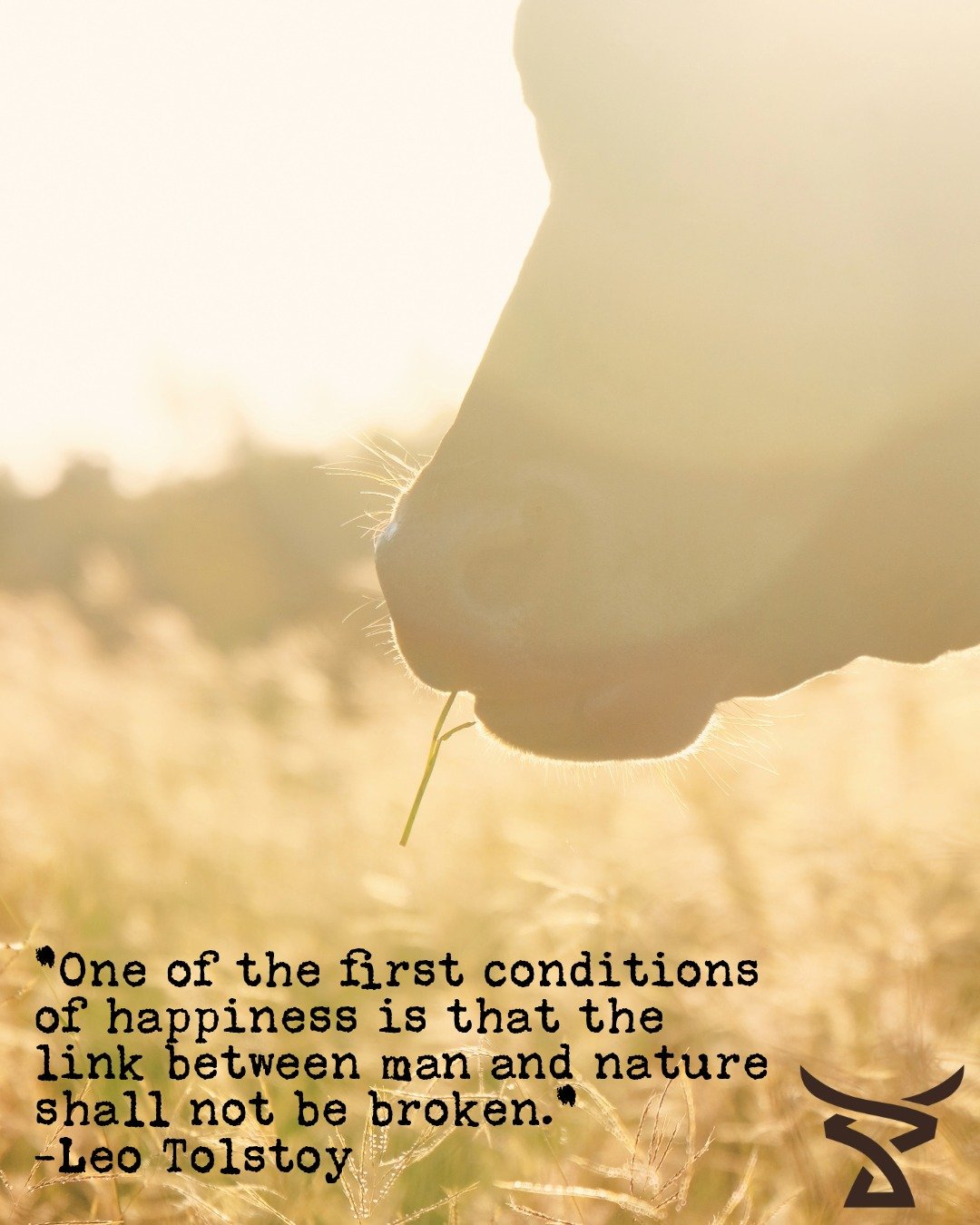 Sundays have us feeling extra thankful.
For our animals, this land, and all of you who keep showing up for local food.
We appreciate you more than you know. 🖤