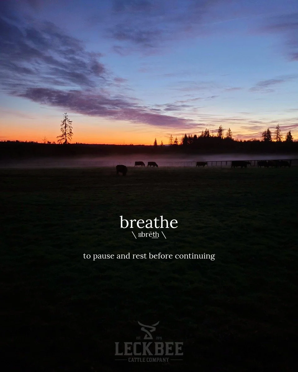 A Sunday reminder to slow down, take a deep breath, and enjoy the quiet moments in between. 🤍
