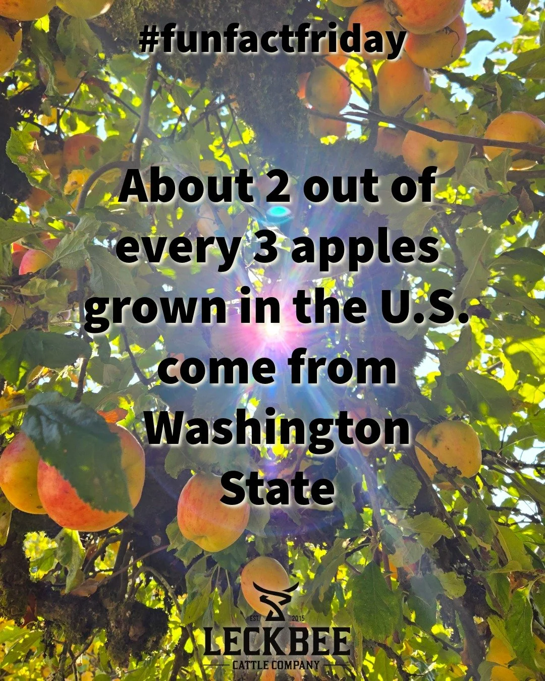 Couldn&rsquo;t pass up an apple-themed #funfactfriday with our local Onalaska Apple Harvest Festival happening this weekend!
Are you going? 🍎

Onalaska Alliance for Sustainable Community
