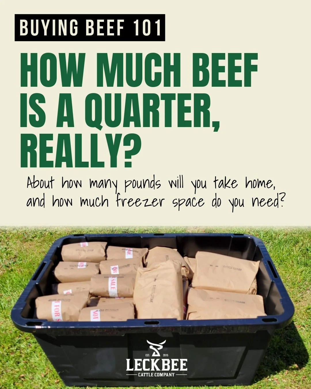 Ever wondered what a quarter of beef actually looks like? 🥩

A quarter gives you a variety of steaks, roasts, ground beef, and other cuts to stock your freezer. The exact amounts depend on the animal, your cutting preferences, and which butcher shop