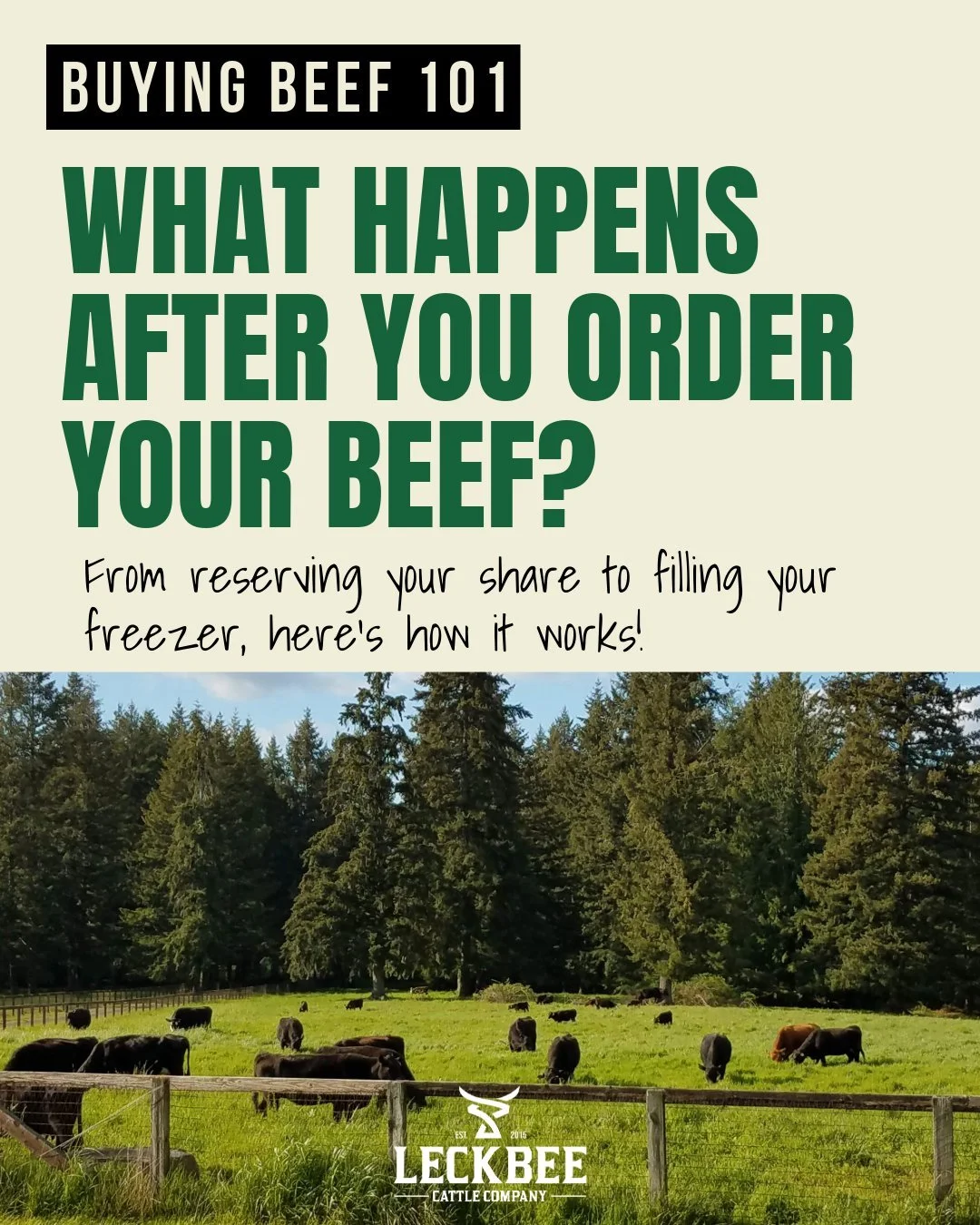 Wondering what happens after you reserve your beef? 🥩

If you've never purchased beef in bulk before, the process might seem a little overwhelming. But it's actually pretty straightforward!

From reserving your share to picking up your finished beef