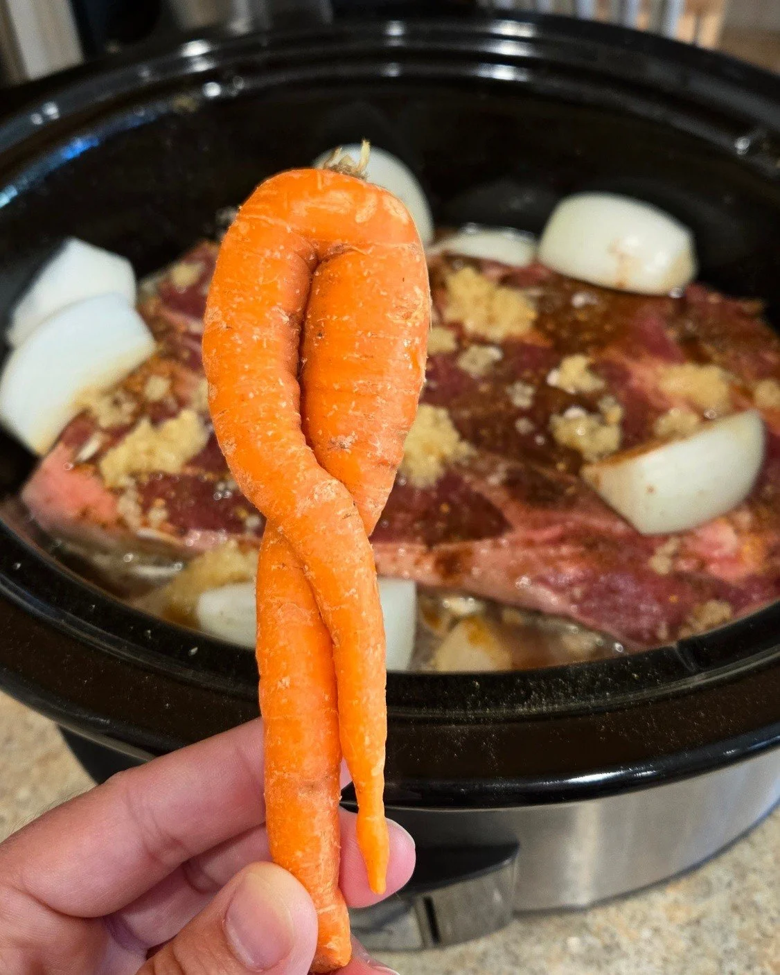 This carrot is just begging for a caption. 😂🥕

Ready, set, caption this! 👇