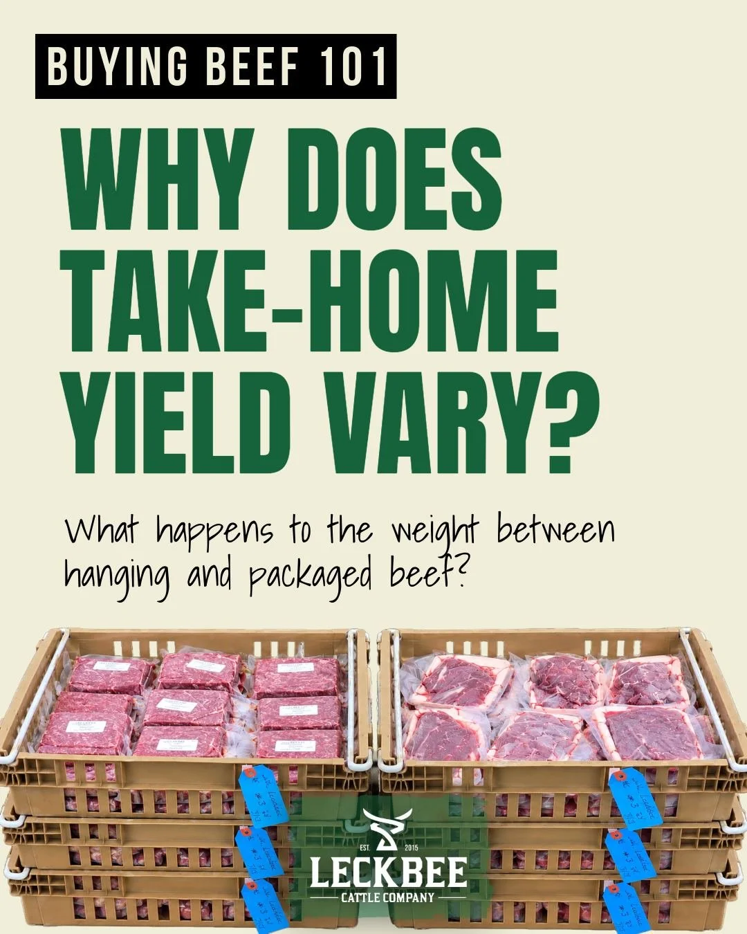 If you've ever purchased beef by the hanging weight, you probably know that isn't the number of pounds you'll bring home.

But what accounts for the difference? 🥩

There are several things that affect how much packaged beef you end up with. Every an