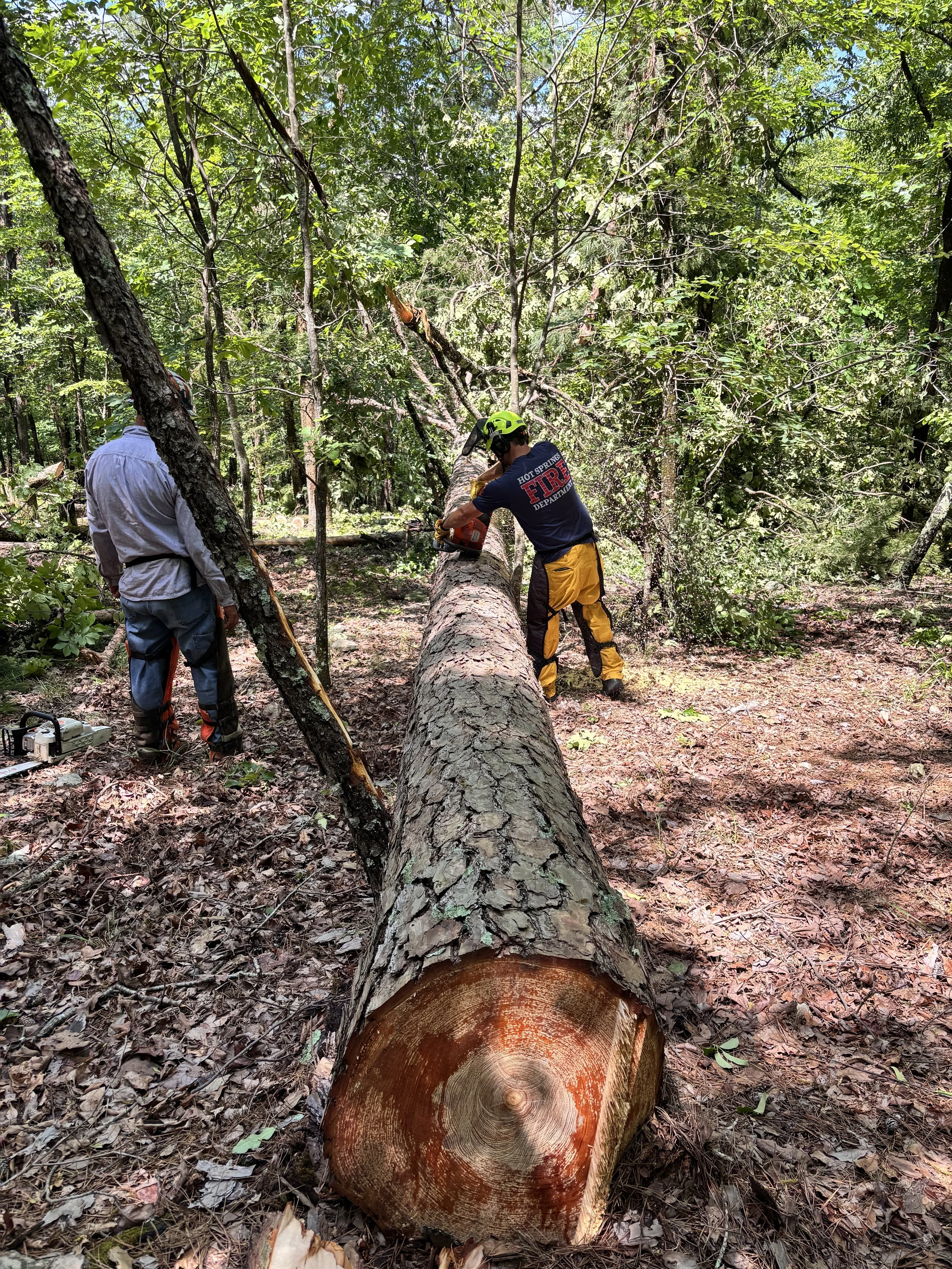 Professional Saw Training and Certification Courses