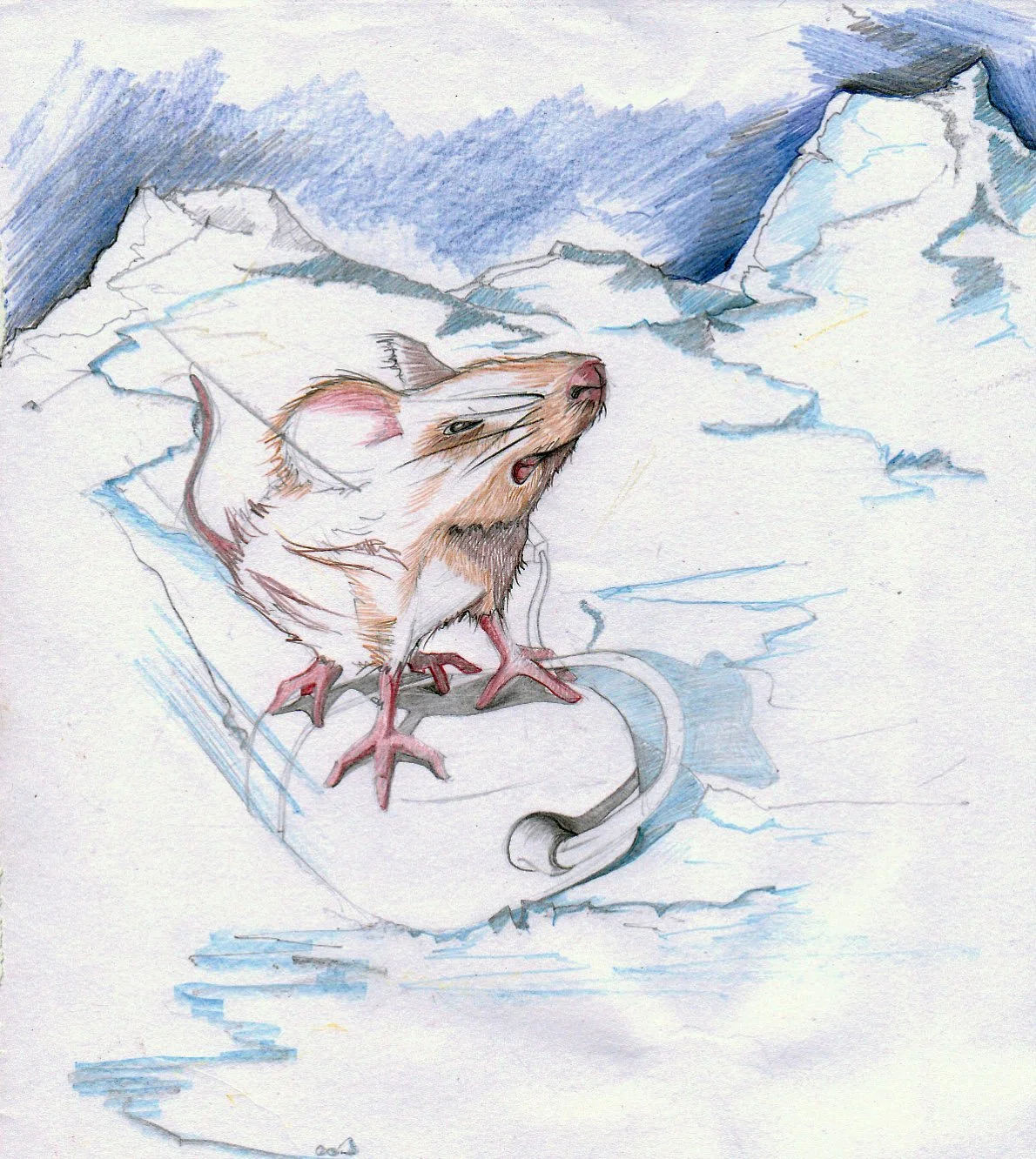 mouse on mouse (colour reference).jpeg