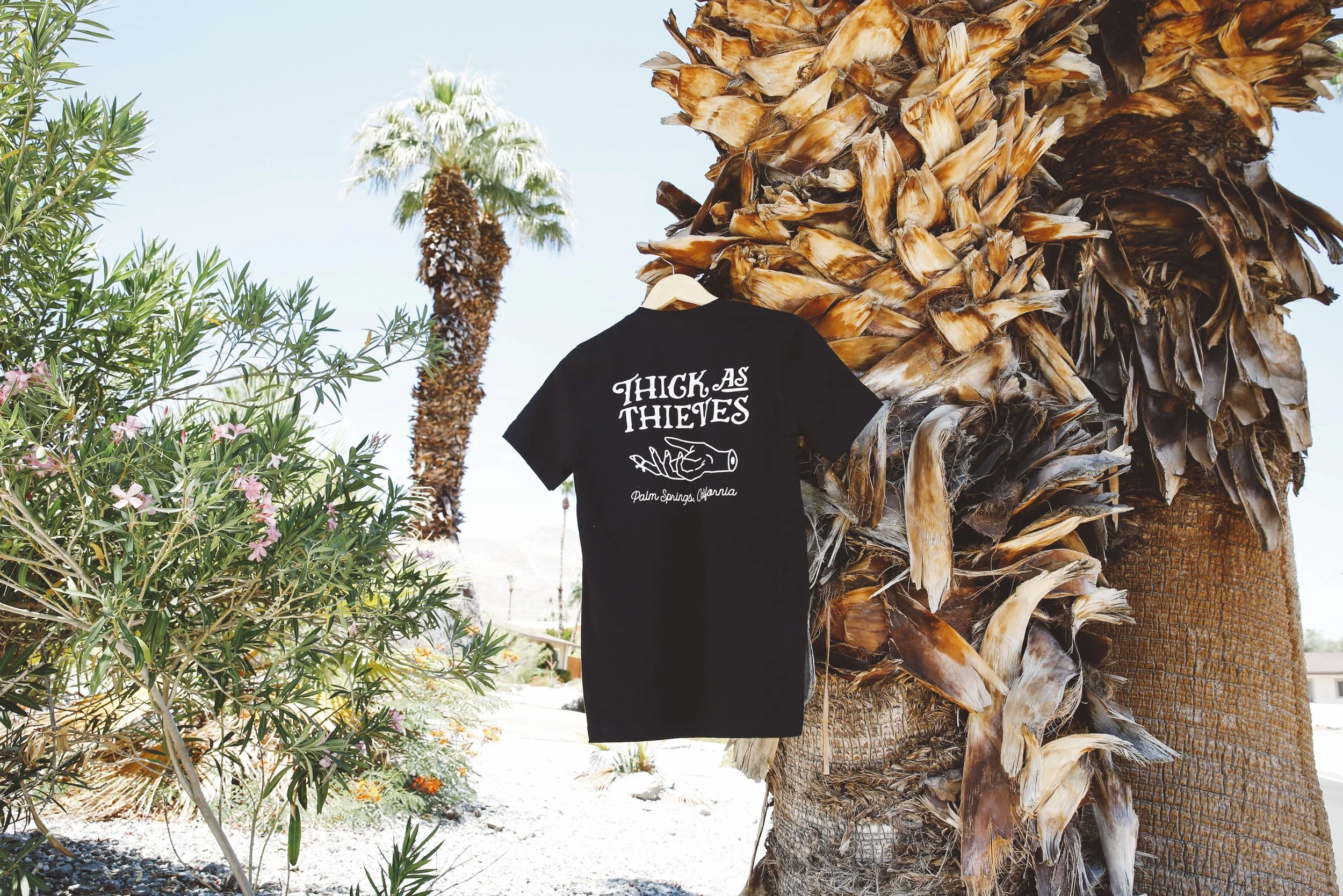 Thick As Thieves: Brand Identity