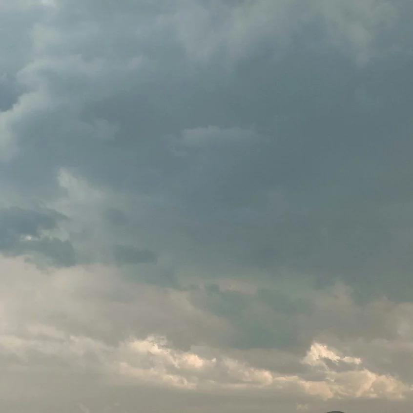 matthew-smith-VNsGywdphUY-unsplash (1).jpg