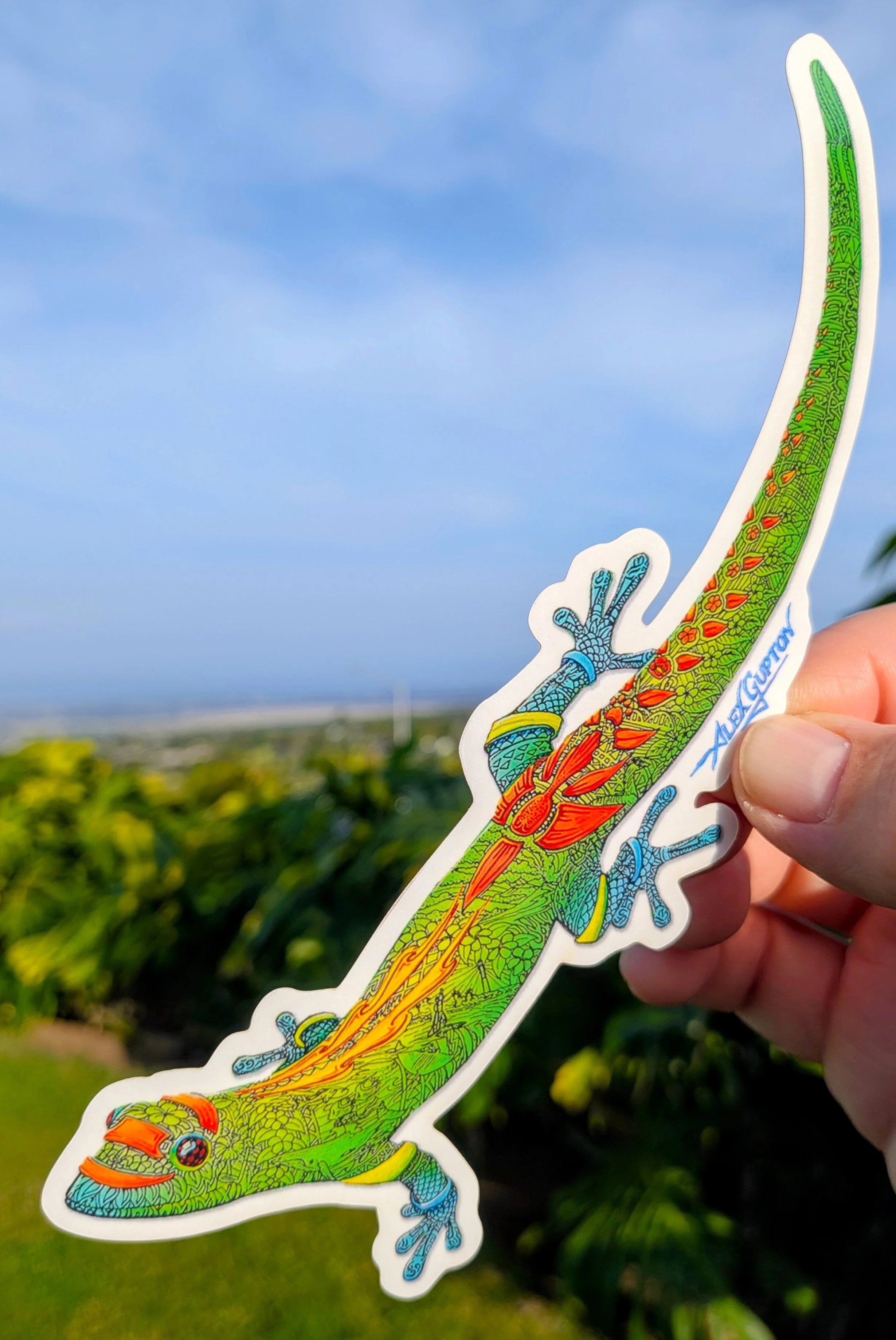 Gecko_ProductPhotography_Sticker.jpg