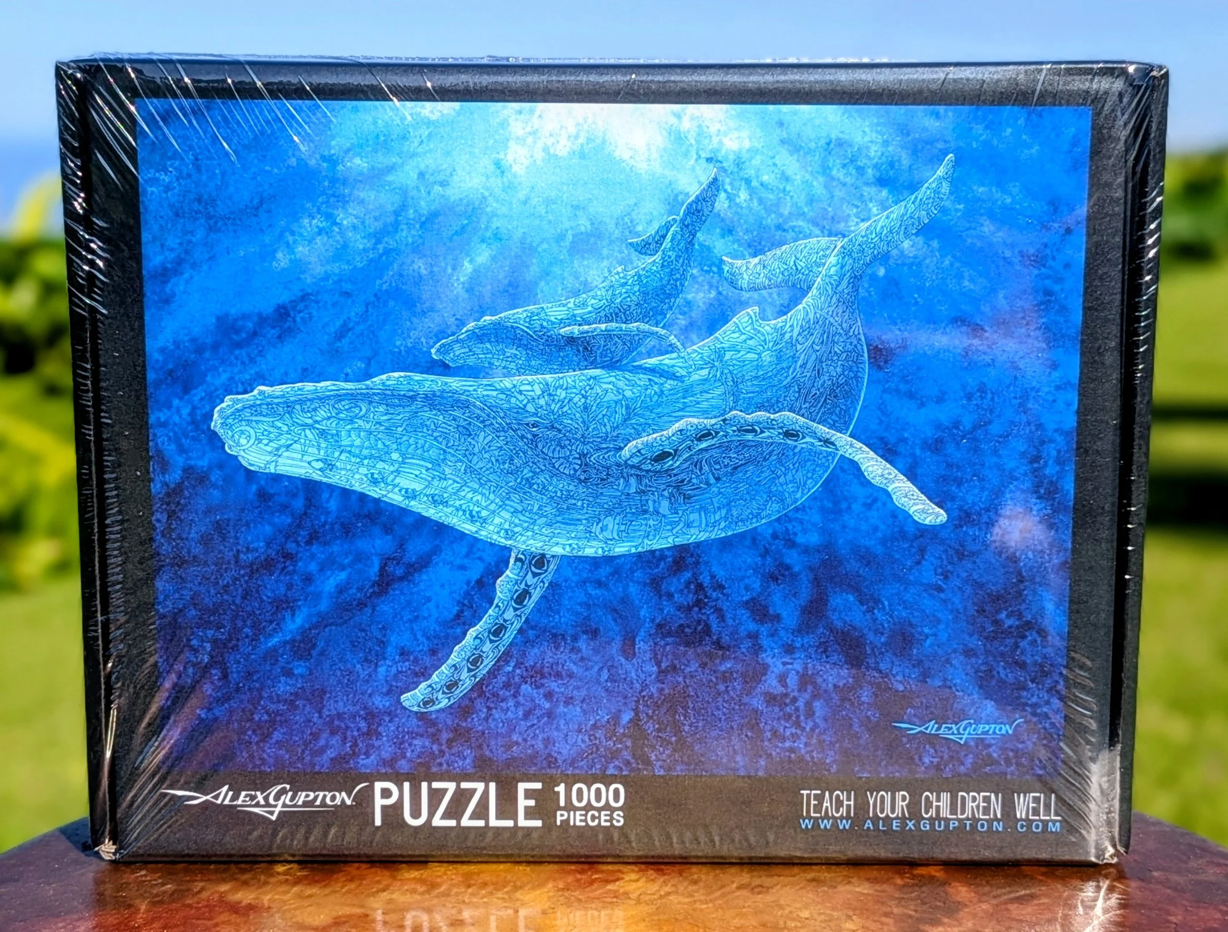 Teach Your Children Well - 1000 Piece Puzzle