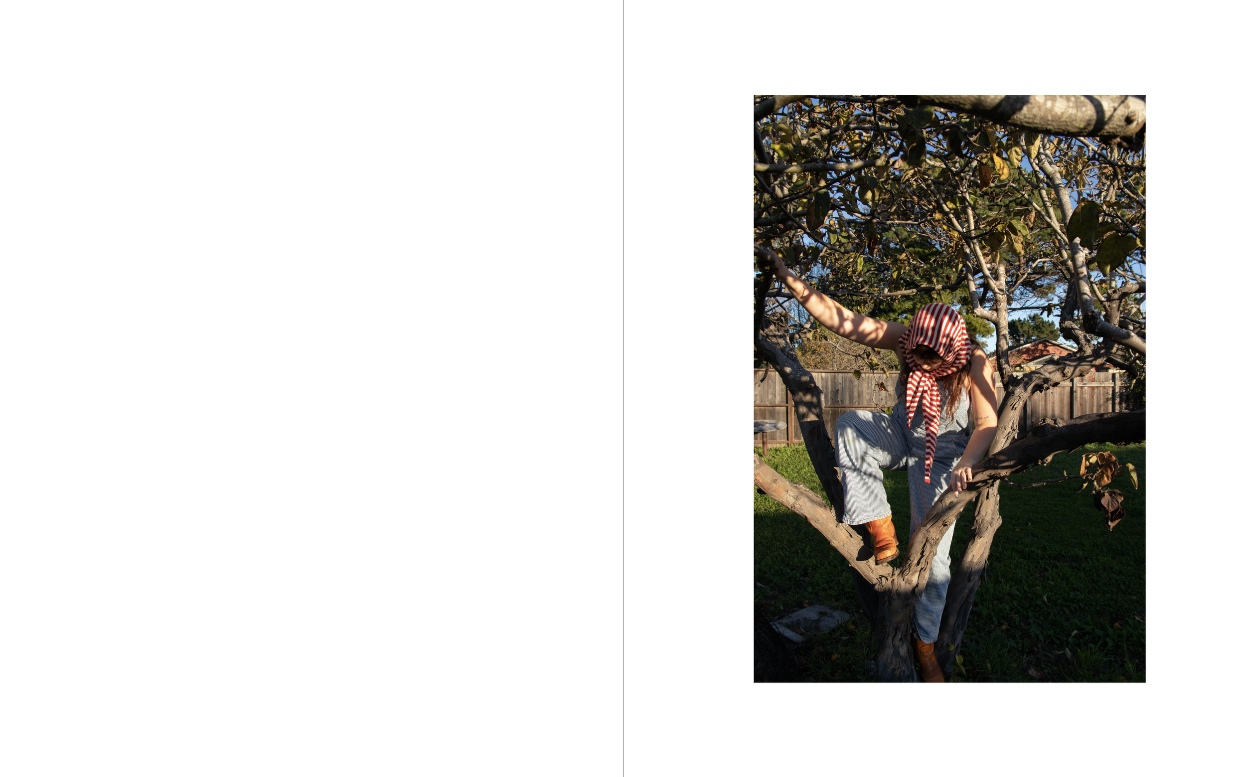 Screenshot 2026-02-26 at 12.22.05 AM.png