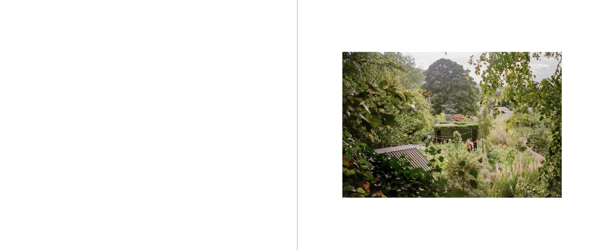 A lush green garden scene with trees, bushes, and a small raised wooden structure. Two people are visible in the background among the plants.