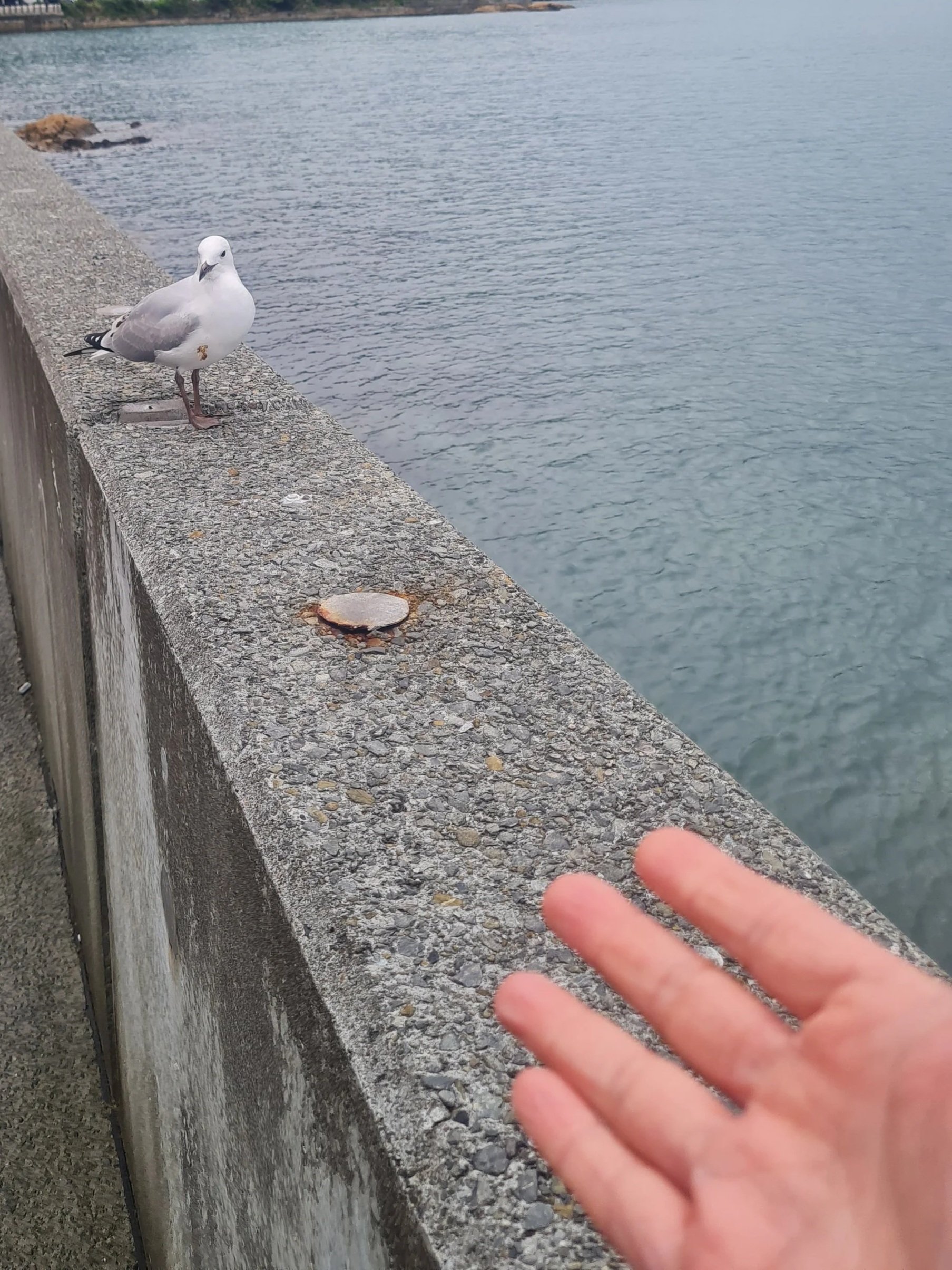 When help feels like a threat