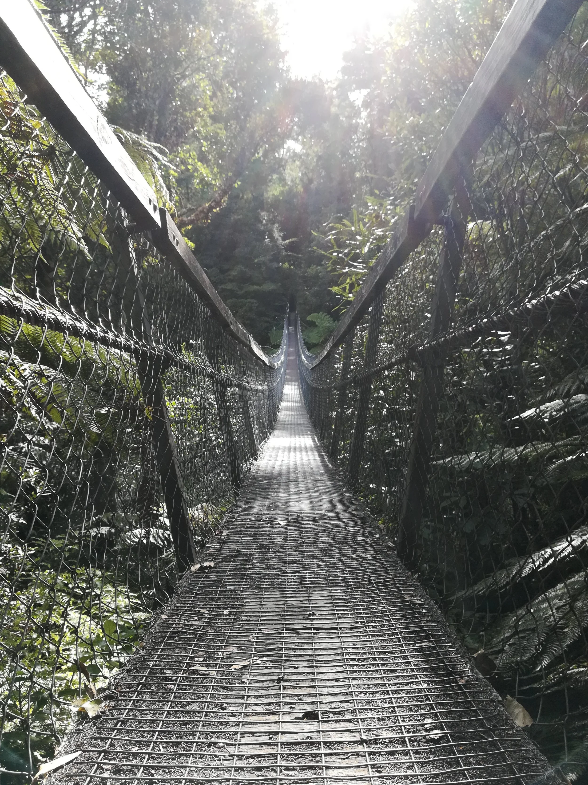 A narrow suspension bridge made of metal grate and chain-link sides, extending into a dense green forest with sunlight shining through the trees.