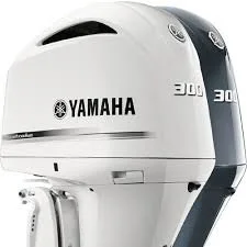 f300.jpg