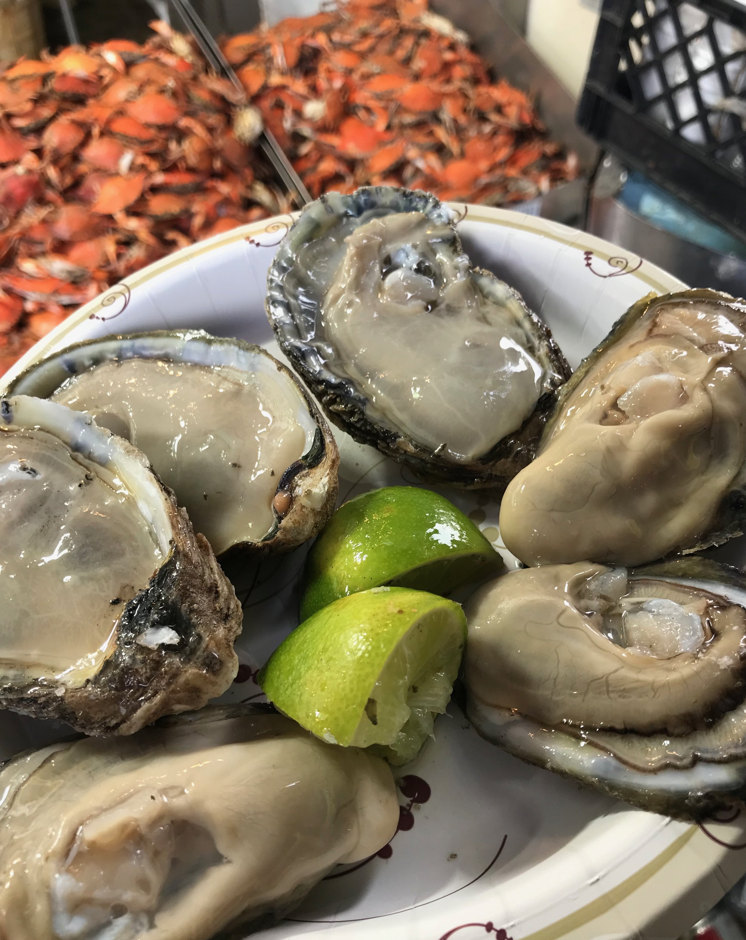 Rules+Regs for Foodservice in NC