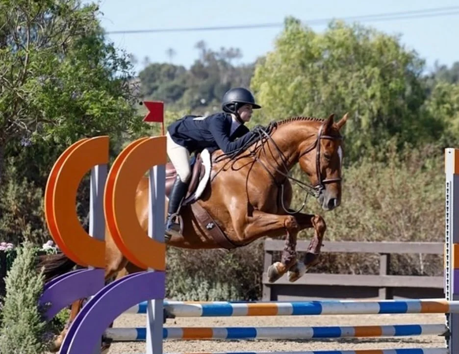 We are so excited to welcome Gibson &ldquo;The Comeback Kid&rdquo; Salaiz owned by Alana Salaiz to the Cold Spring Farm family! Gibson is here to help us teach the next generation of riders! Thank you @konzelman.sport.horses for trusting us with your