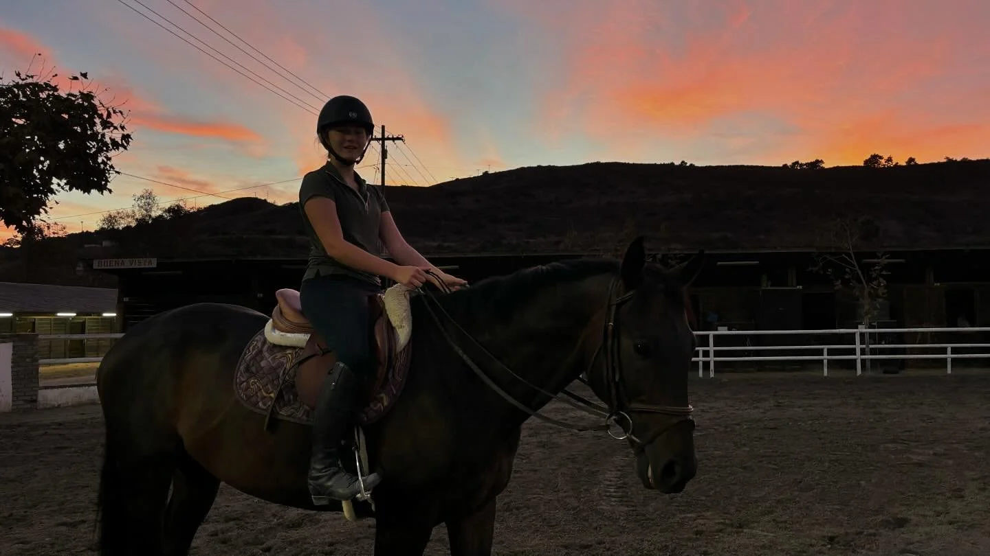 Beautiful sunset tonight at the barn!!