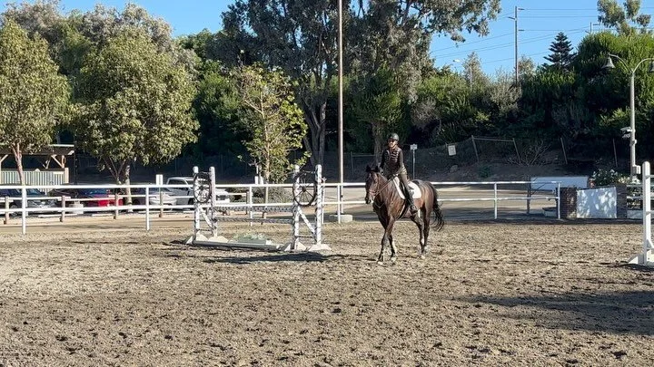 Niko and @amandawood1729 flying into the new week! ✈️✈️