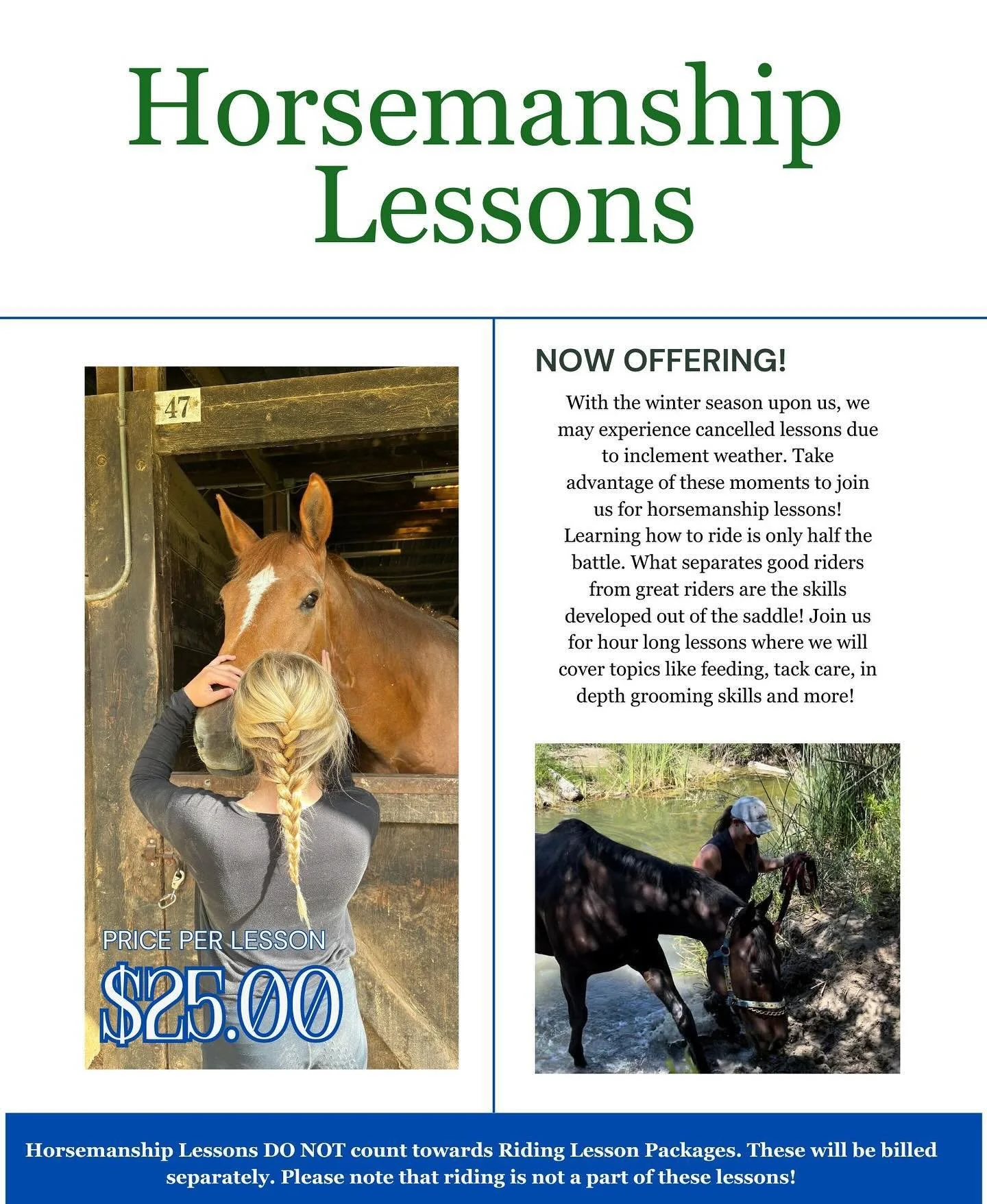 Join us for horsemanship lessons!!