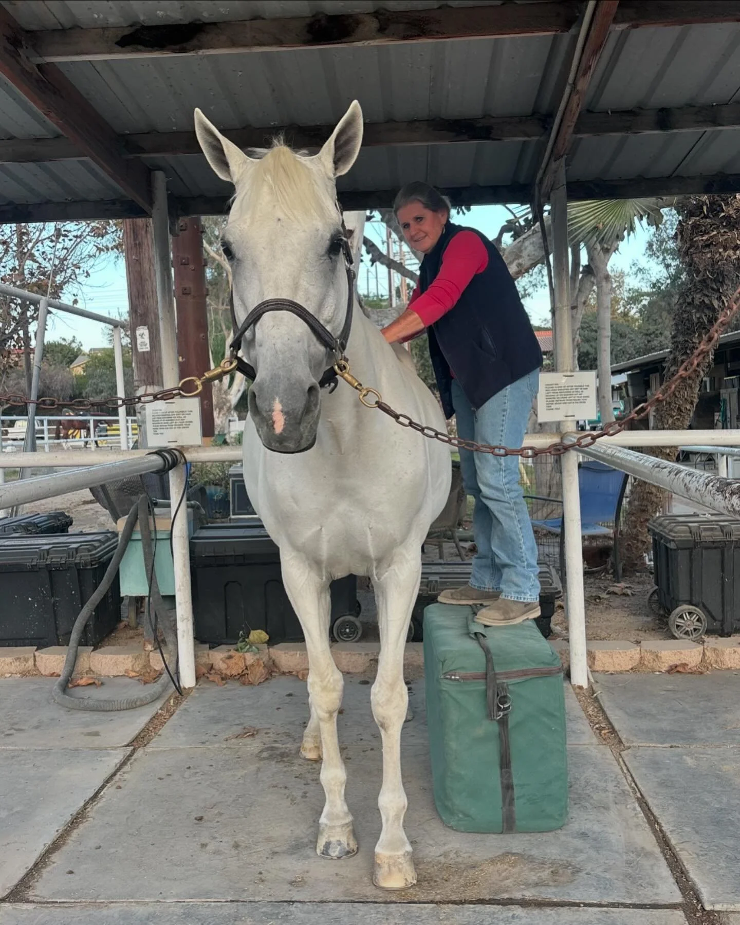 Keeping our horses in tip top shape! @adriennemooredvm