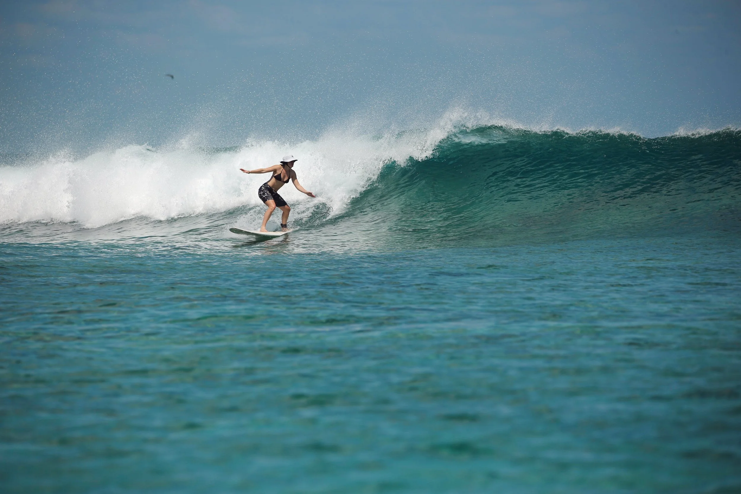 Indonesia Surf Picture