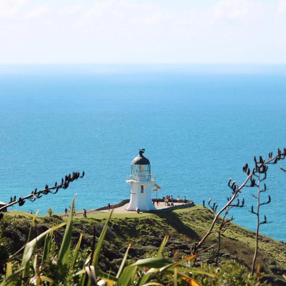 SURF NORTHLAND THIS SUMMER�Pack your bags and join us for the surf trip of a lifetime 🌴
Our student Surf Trips Include: �🏄&zwj;♀️ 6 days of surf coaching &amp; beach missions�📸 Photos + video breakdown to level up fast�🌄 Sandboarding, Cape Reinga