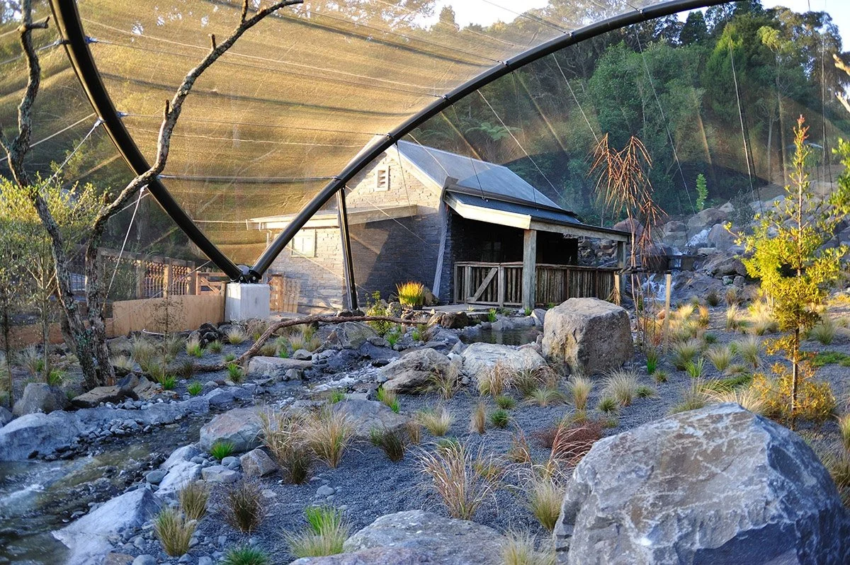 A greenhouse with a curved glass roof, surrounded by rocks and plants, with a small wooden structure inside at sunset.