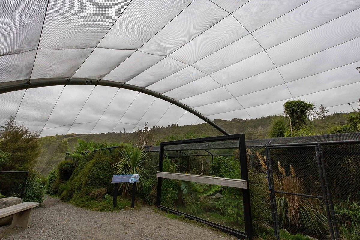 A greenhouse with a curved, transparent roof over lush green plants and shrubs, surrounded by a gravel path and a bench outside.
