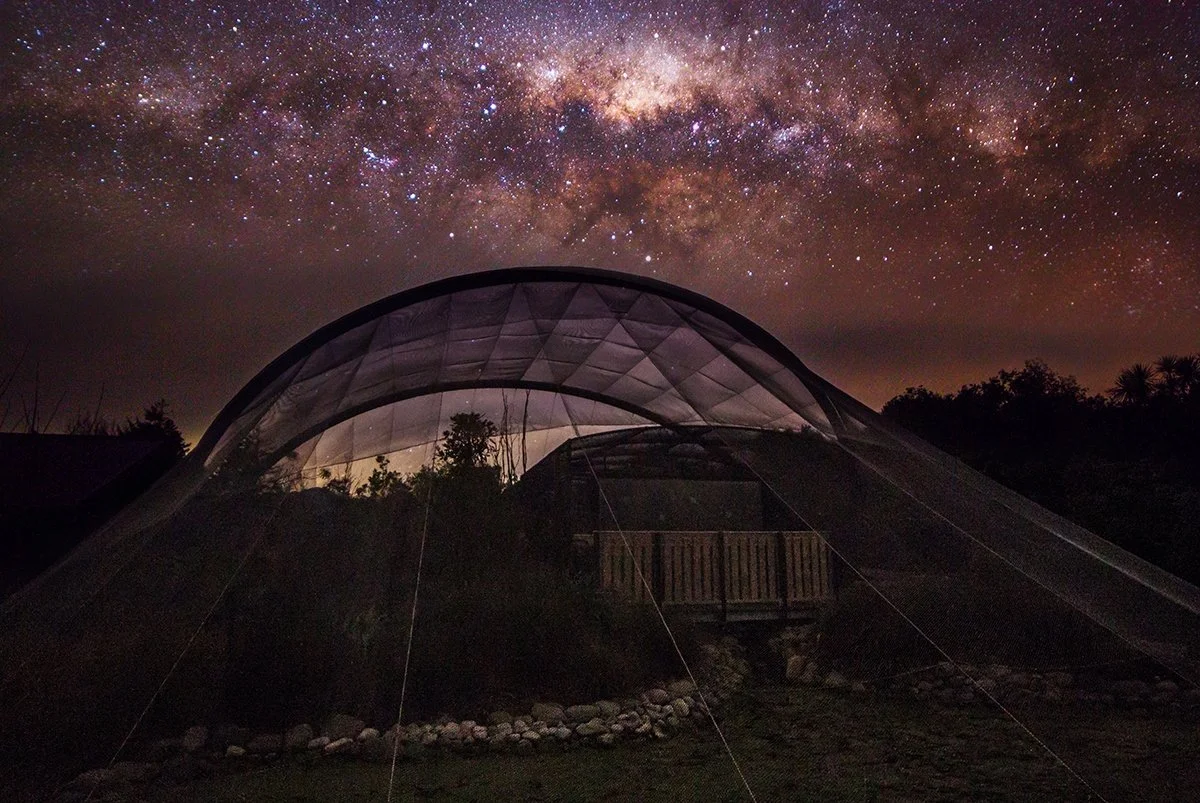 Tent set up outdoors under a starry night sky with the Milky Way galaxy visible above.