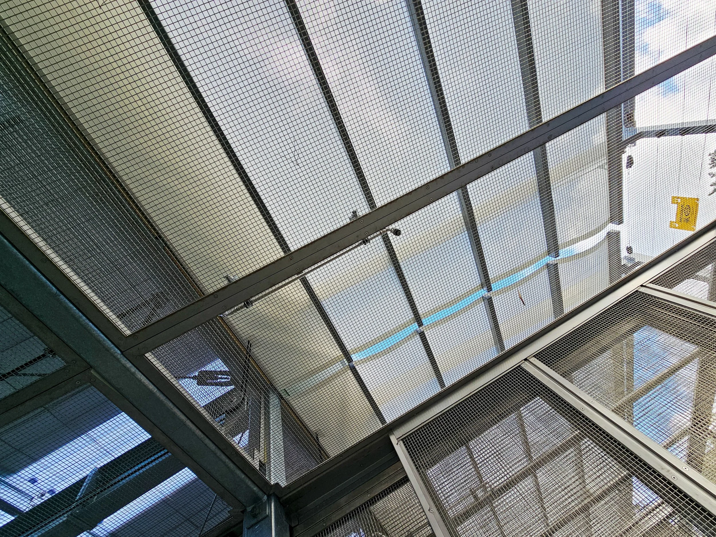 20250623_125855-2.jpg