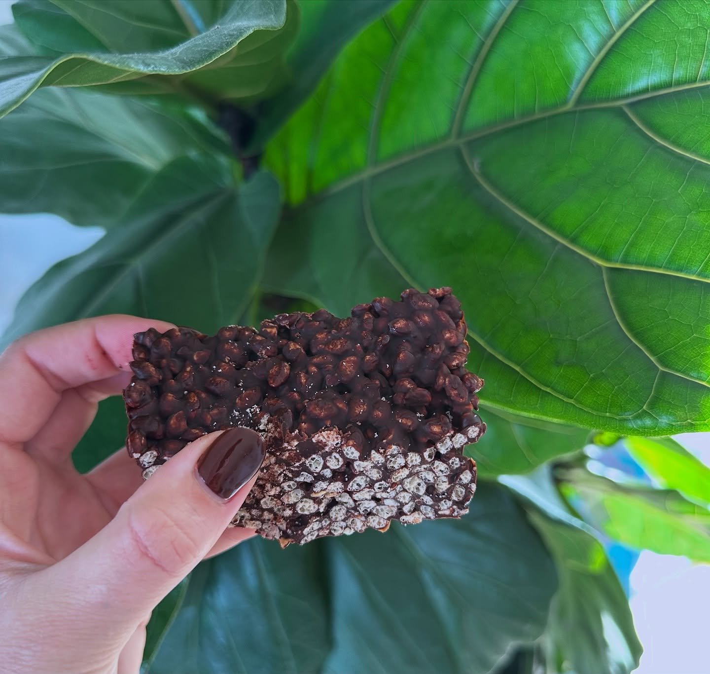 Vegan, Gluten-Free Chocolate Rice Crispie Treats 🍫

Ingredients:
	&bull;	3 cups rice puffs
	&bull;	1/2 cup peanut butter (smooth or crunchy)
	&bull;	1/4 cup pure maple syrup
	&bull;	2 tablespoons coconut oil
	&bull;	1 cup dairy-free dark chocolate, 