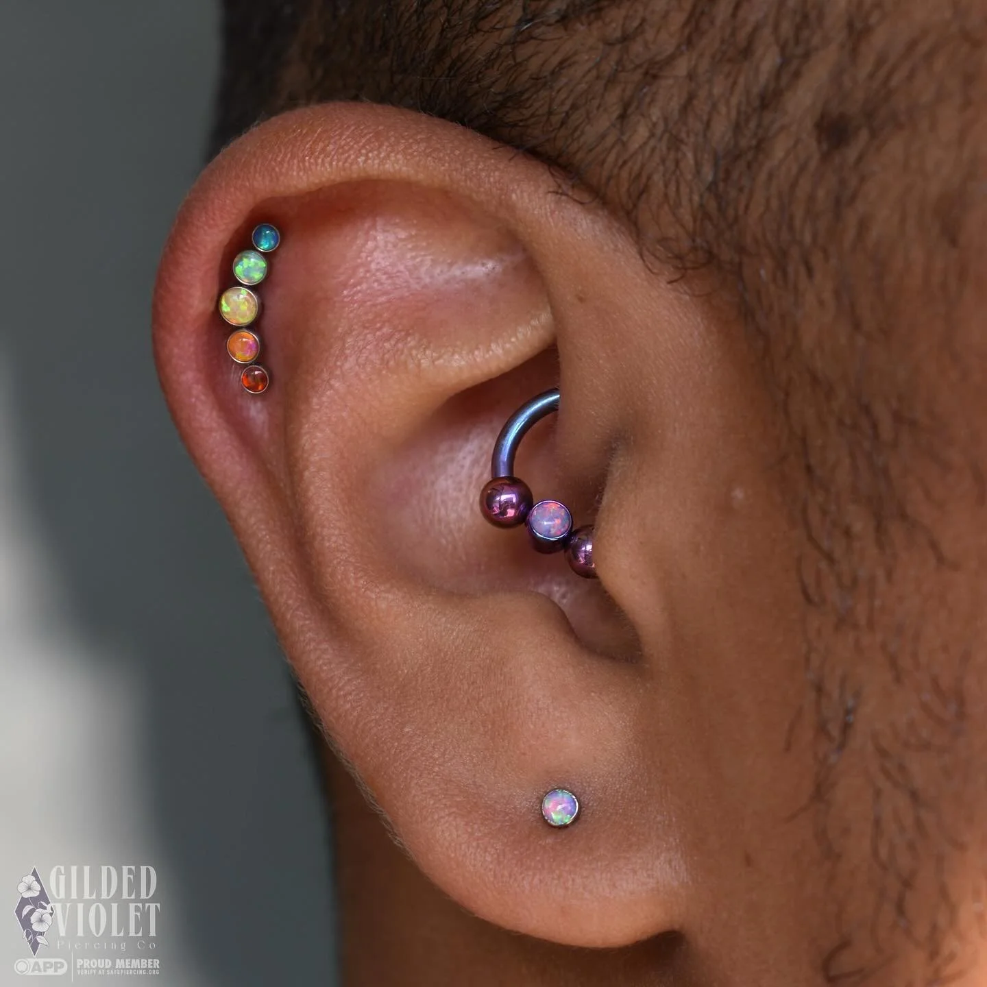New helix and lobe, and healing daith all decked out in opals for my favorite barista 🌈 
Kaine has big plans for his ears, this is only the beginning ✨

#gildedvioletpiercing #jeannettepa #fiveoneseventattoo #piercingjeannette #greensburgpa #northhu