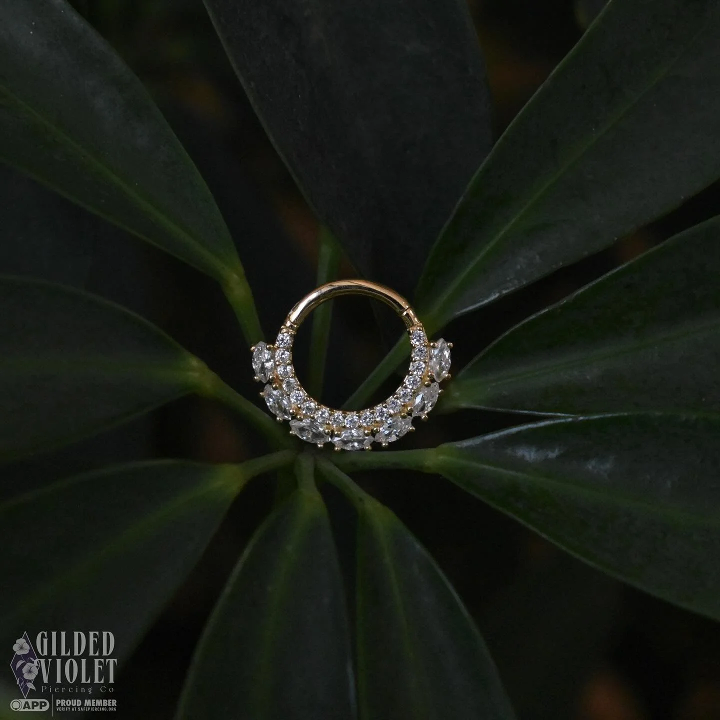 No thoughts, just sparkles ✨ this insanely beautiful hinged ring from @emberbodyjewelry needs no caption- I mean just look at it! This piece would be perfect for a septum or daith, or almost anywhere tbh.. where would you wear it? 
.
.
.
.
#gildedvio