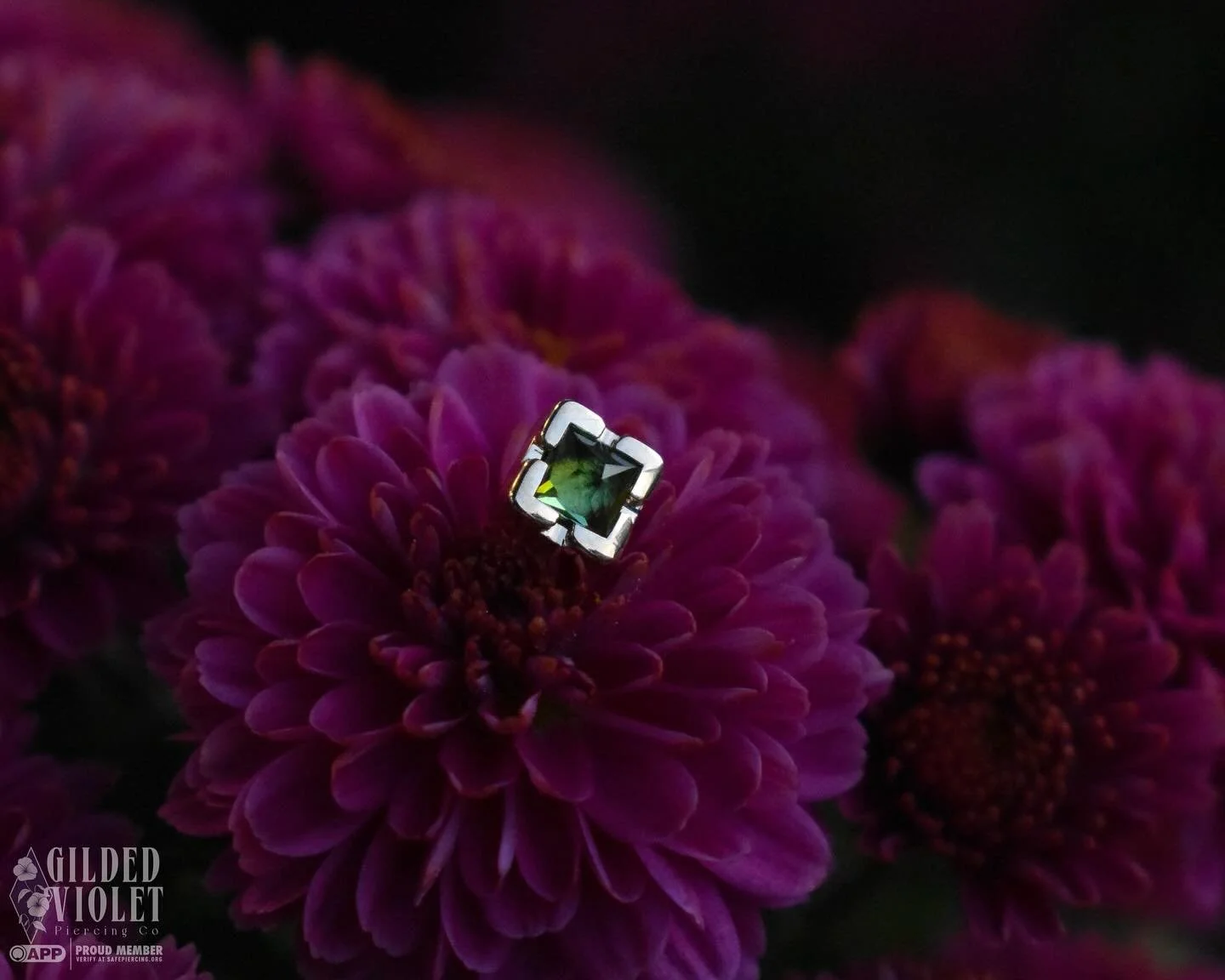 Meet Chroma - shown here in two vibrant shades of tourmaline. The reverse-set princess cut gems catch light perfectly from every angle, revealing the depth and intensity of each stone 💚🩷 Which combo is your favorite?
.
.
.
#gildedvioletpiercing #pi