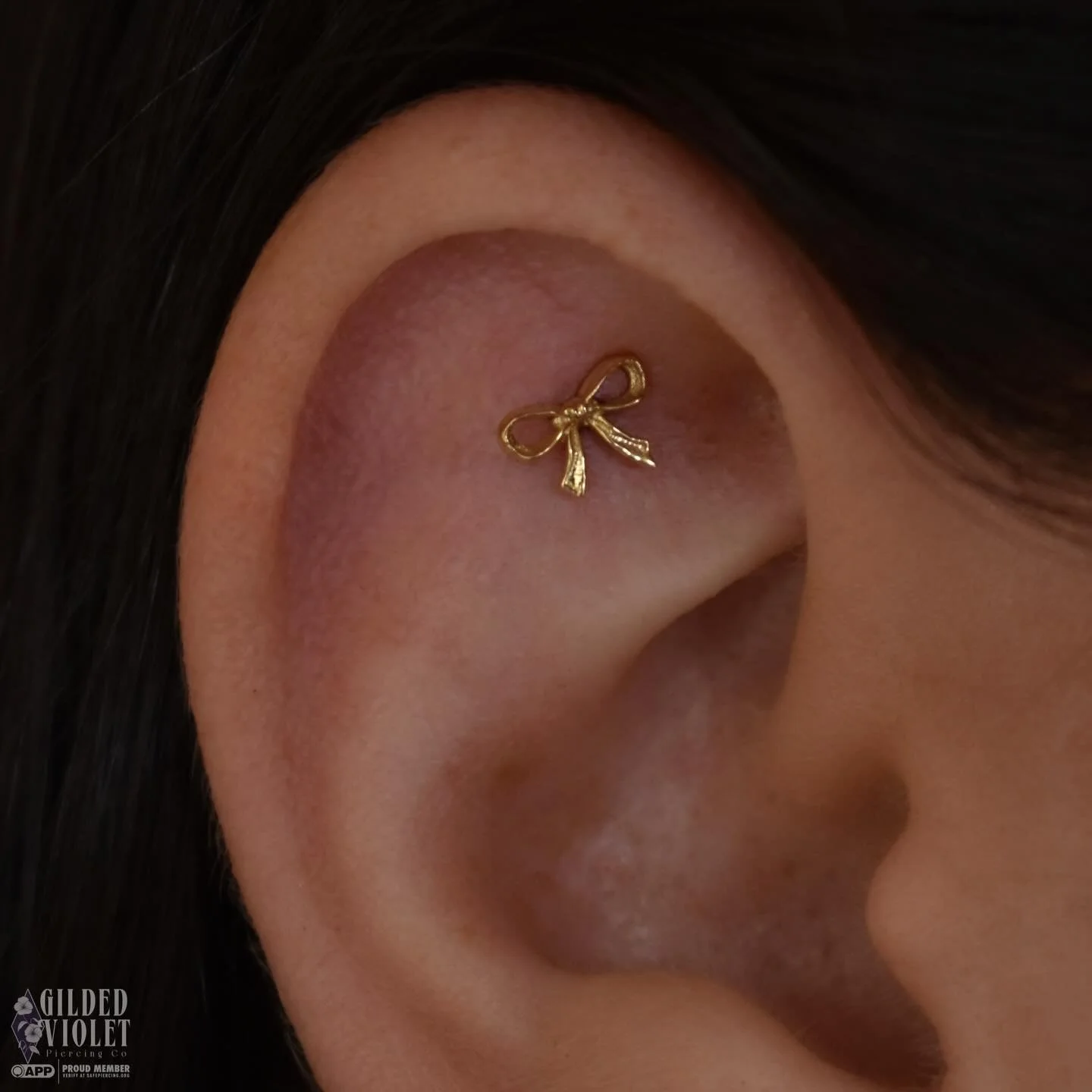 Solid gold bow for this fresh, uniquely placed helix 🎀 a fun start to building out Marissa's ear, we plan to add more around it! What would you call this placement? 
.
.
.
#gildedvioletpiercing #jeannettepa #safepiercing #helixpierxing #earstyling