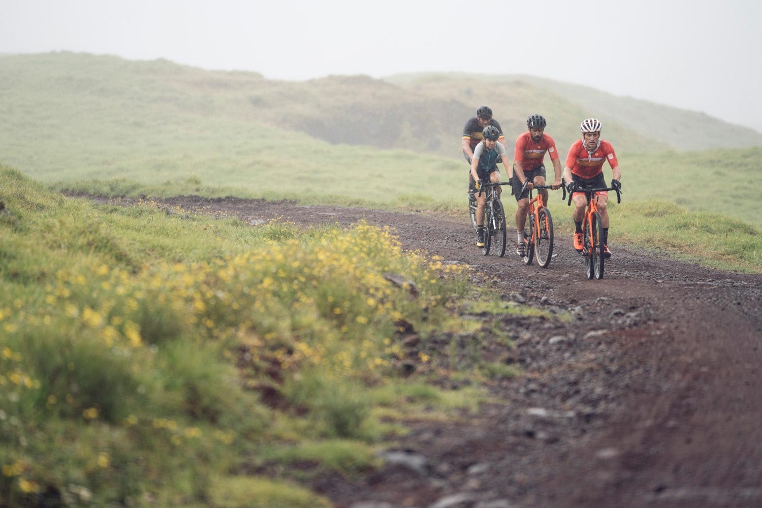 Four cyclists riding on a dirt trail through a grassy, hilly landscape with foggy weather.