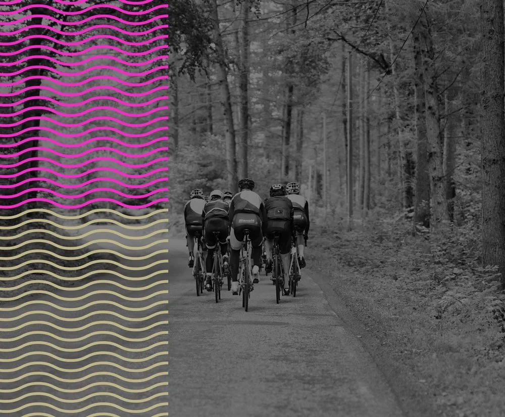 Group of cyclists riding on a forest trail