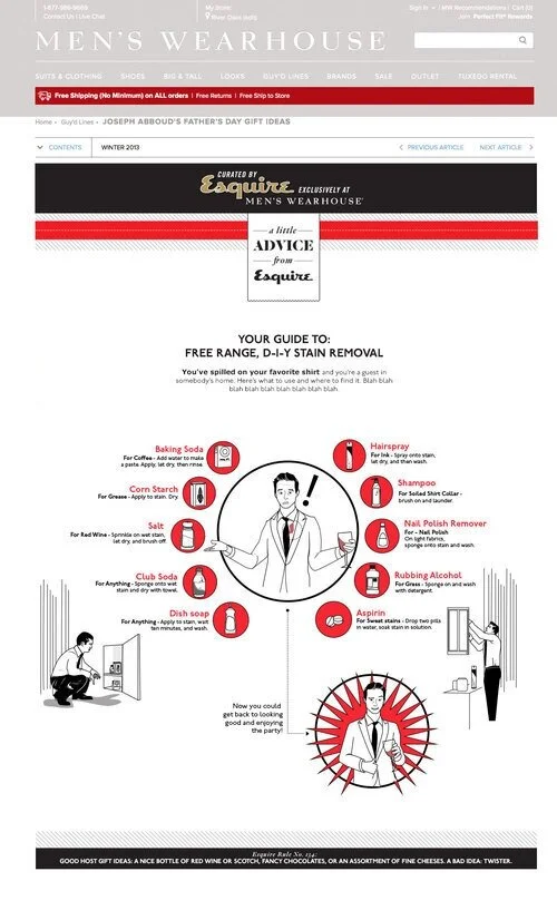 Stain Removal Infographic