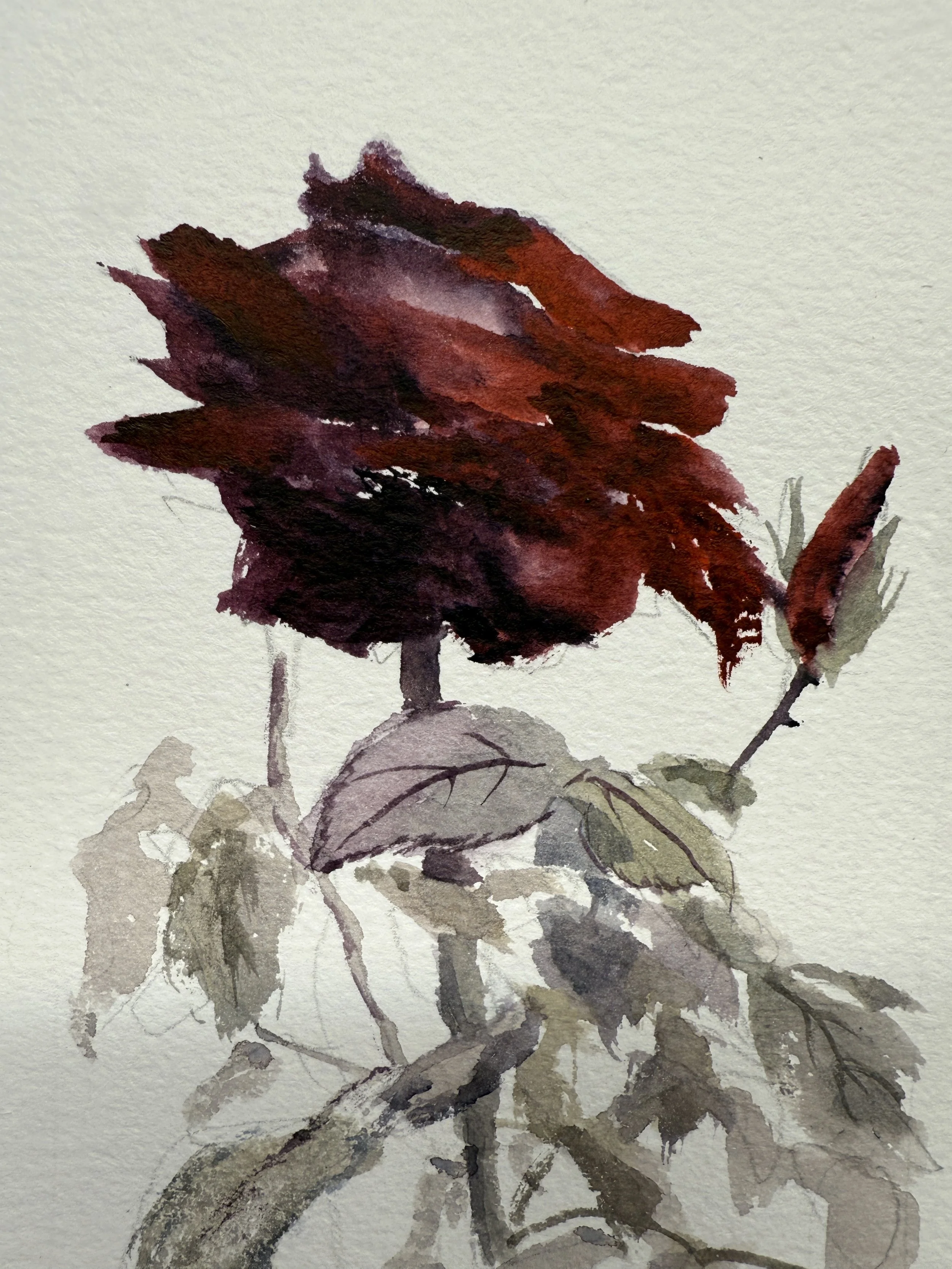 Close-up of layered red watercolor petals with expressive brushstrokes in “After the Bloom.”